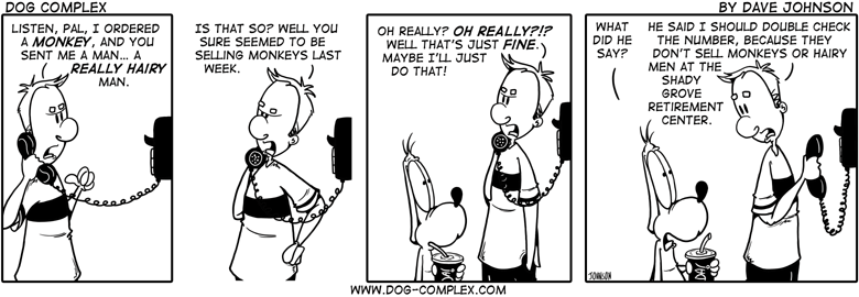 dog